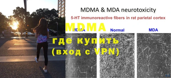 дживик Ветлуга