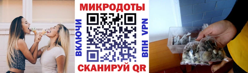 Галлюциногенные грибы ЛСД Советская Гавань